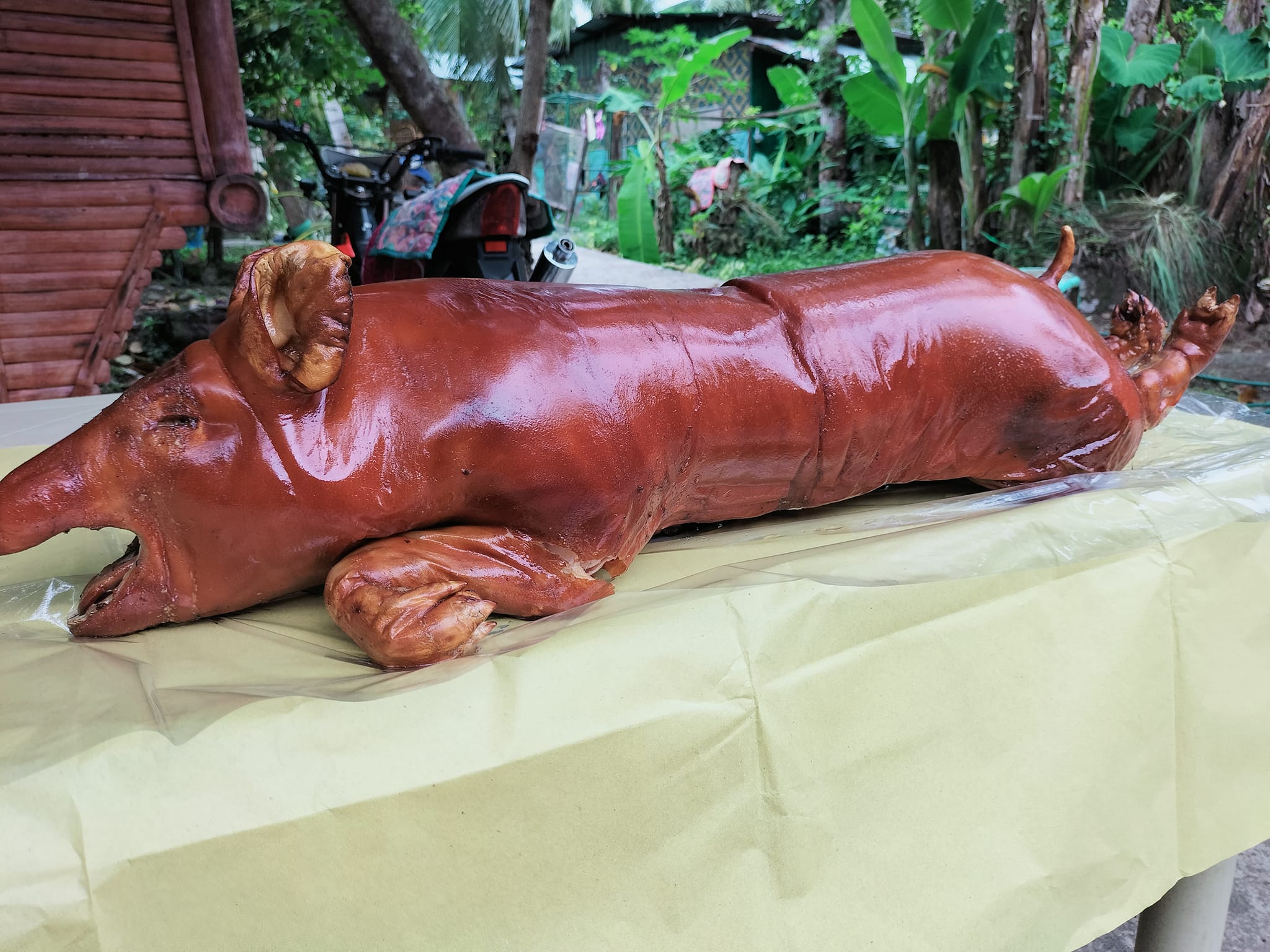Whole Lechon