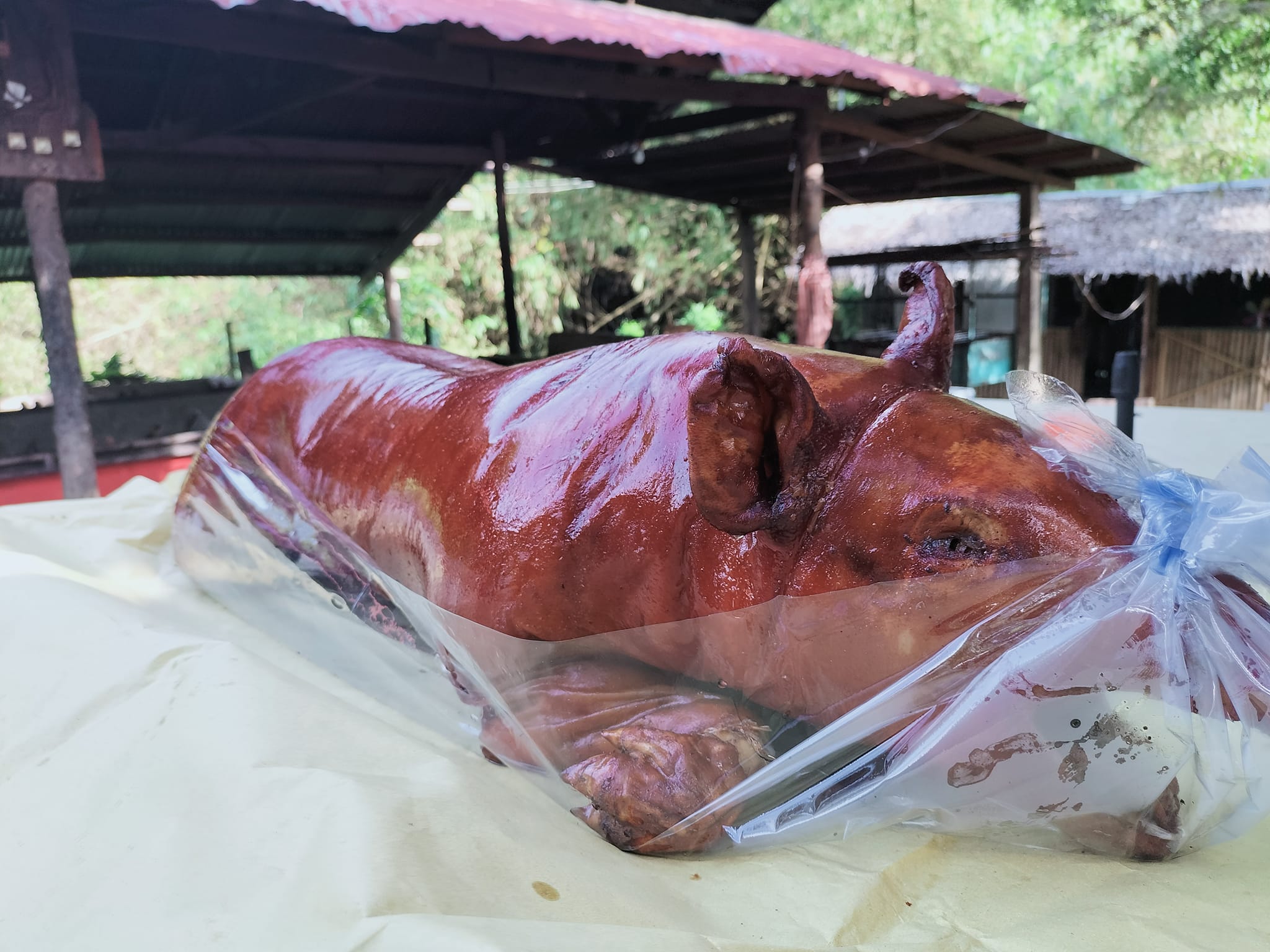 Whole Lechon