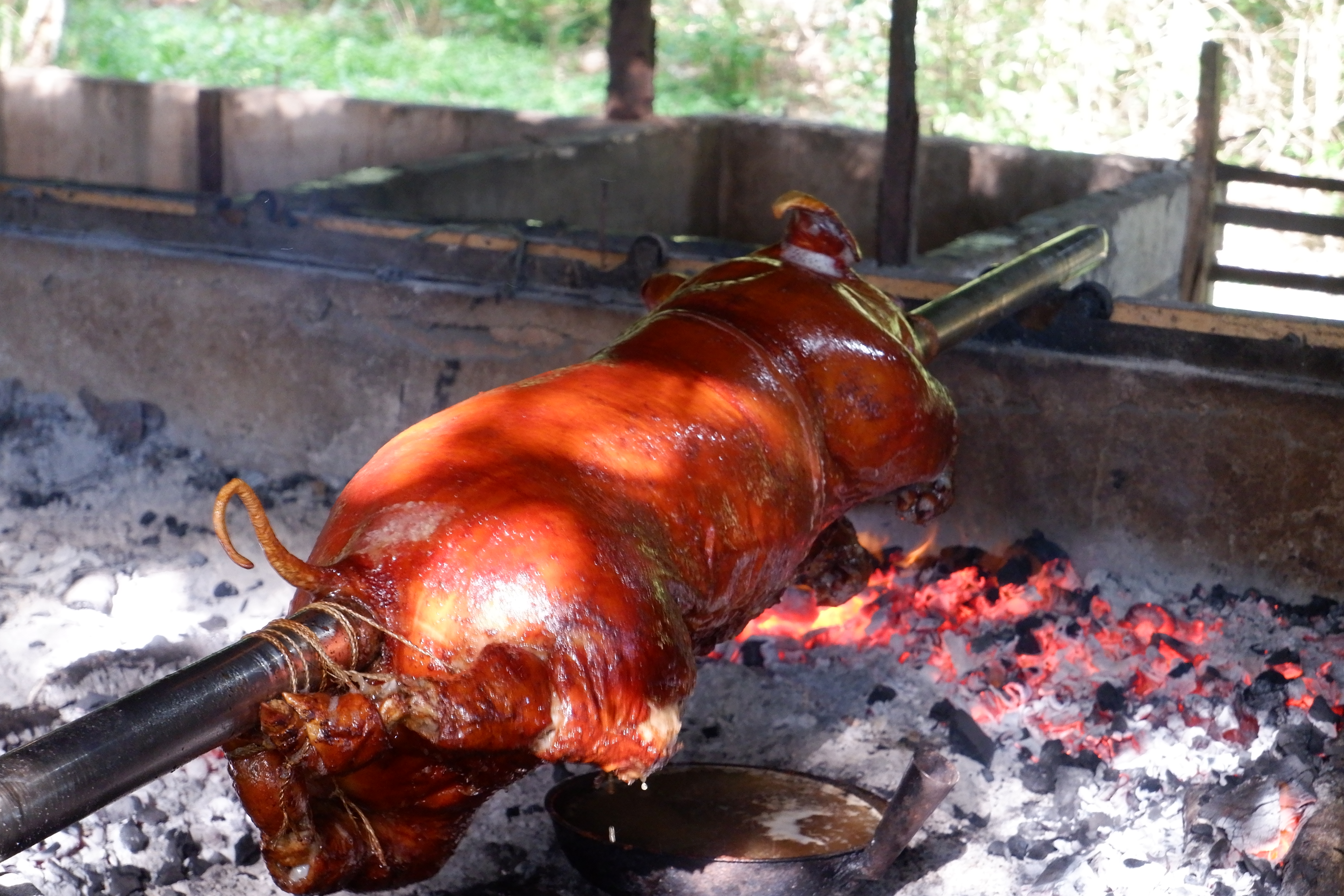 Whole Lechon